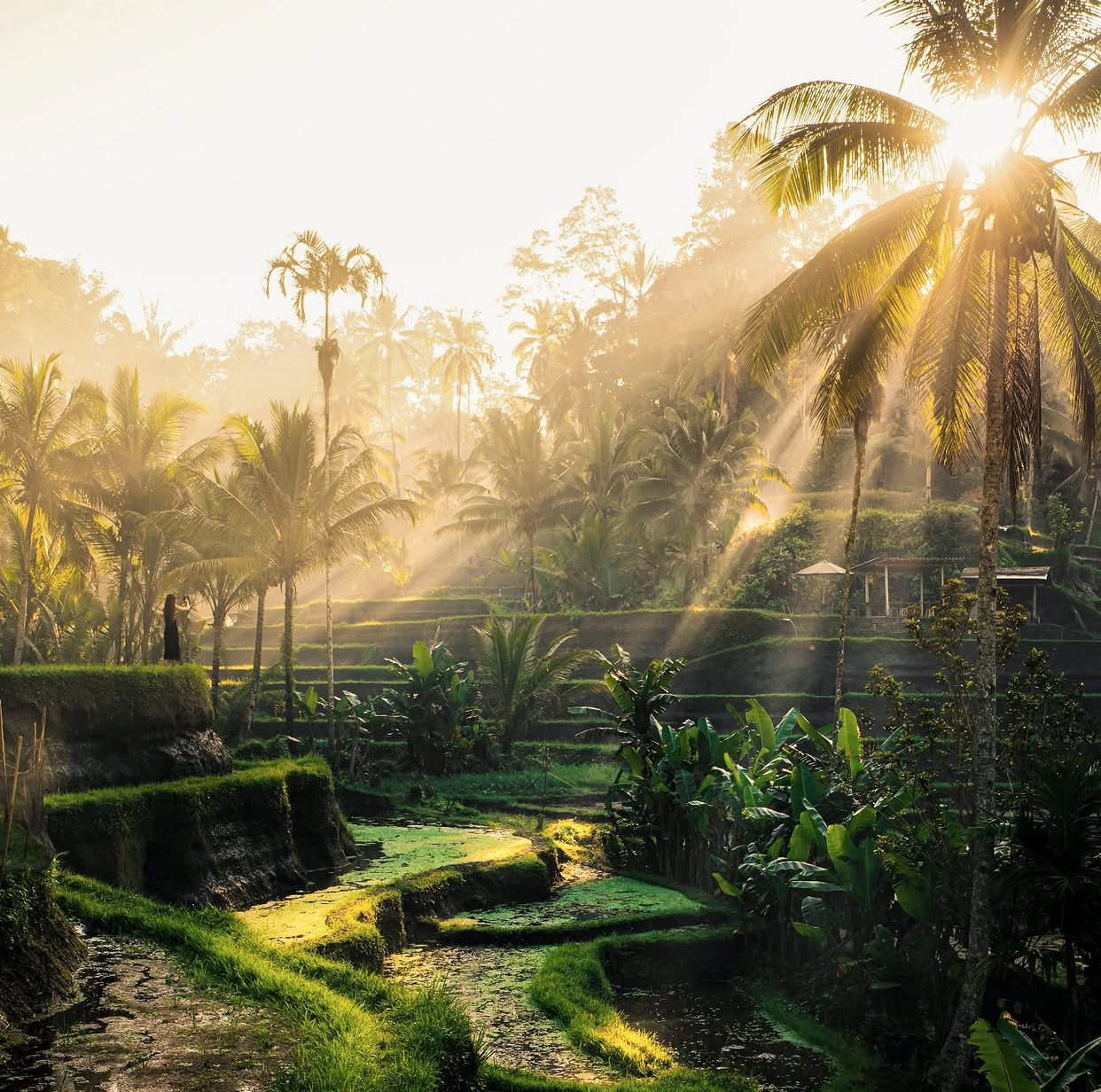 bali travel gallery image