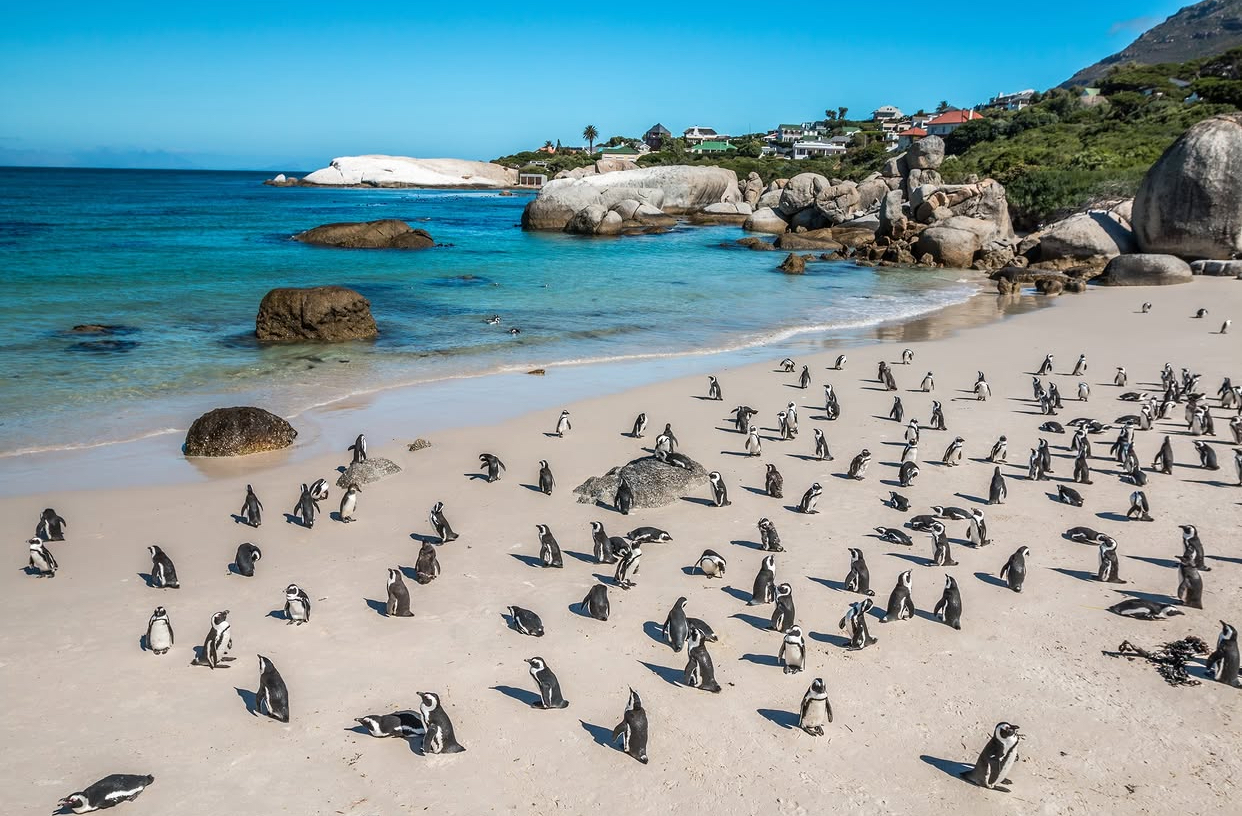 south-africa travel gallery image