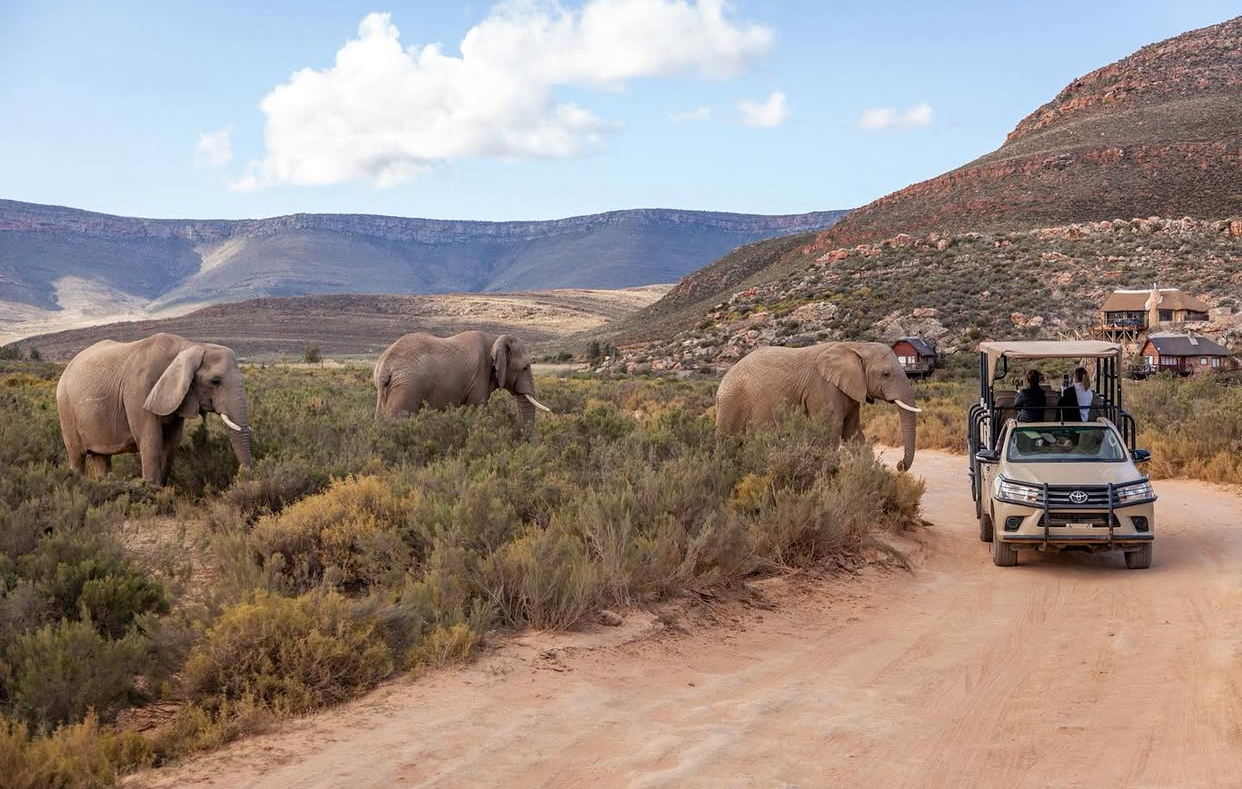 south-africa travel gallery image
