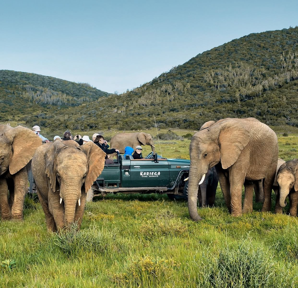 south-africa travel gallery image