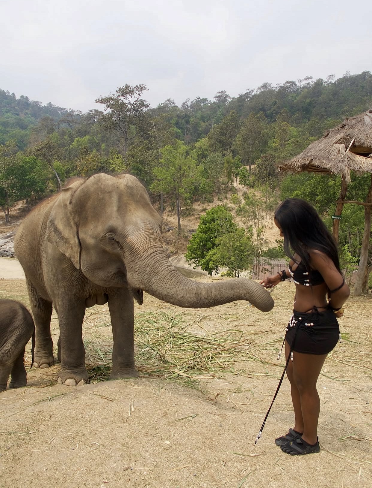thailand travel gallery image