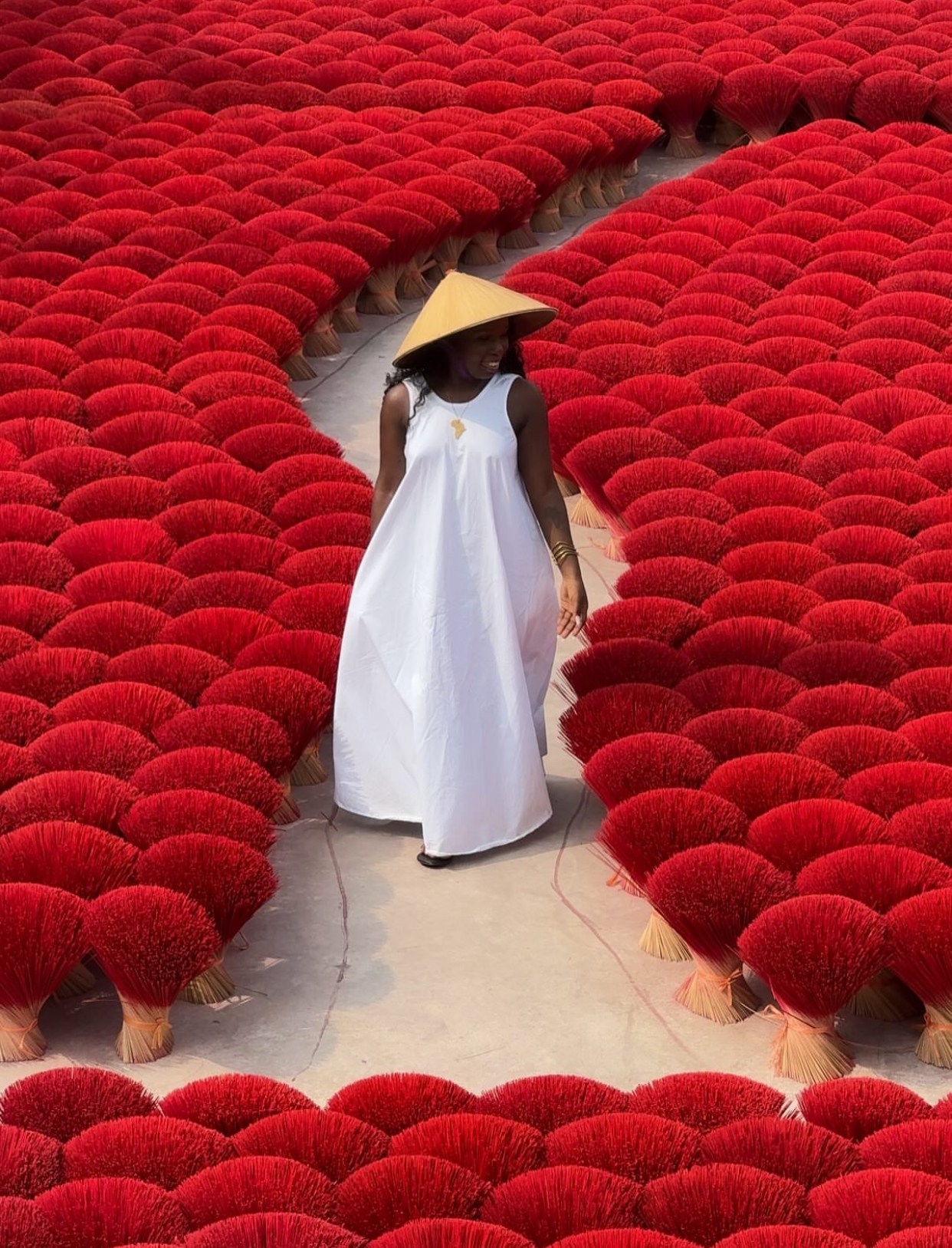 vietnam travel gallery image
